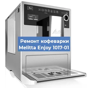 Замена прокладок на кофемашине Melitta Enjoy 1017-01 в Новосибирске